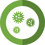 Mold Testing Service Pros