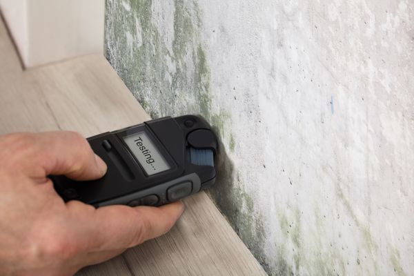 Basement Mold Testing