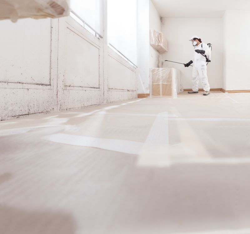 Attic Mold Removal in Dallas, TX