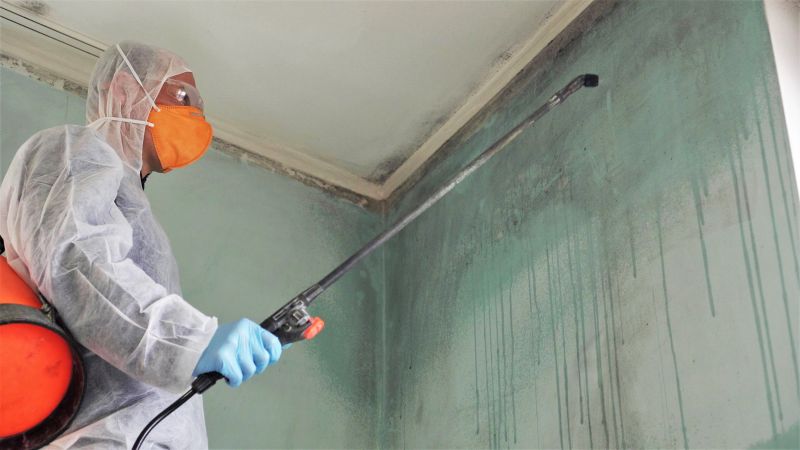 Black Mold Remediation in Dallas, TX