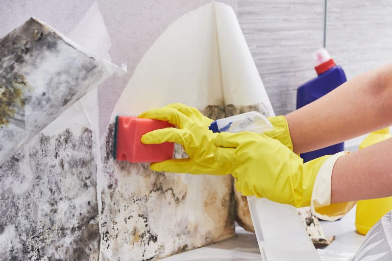 Crawlspace Mold Remediation in Essex County, NJ