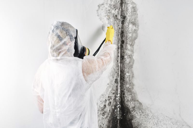 Mold Removal Equipment