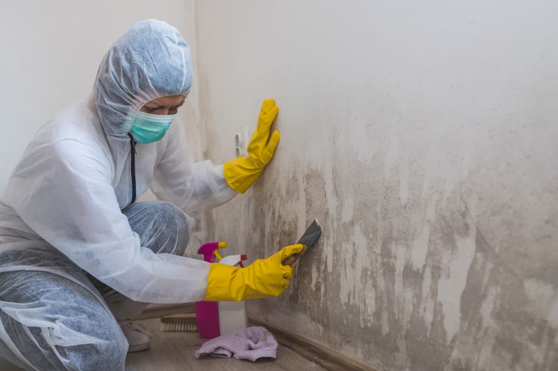 Mold Removal in Fort Worth, TX