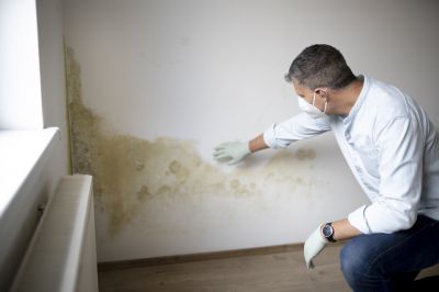 Mold Testing During Renovation